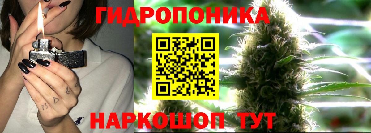 Бошки Шишки MAZAR Лениногорск